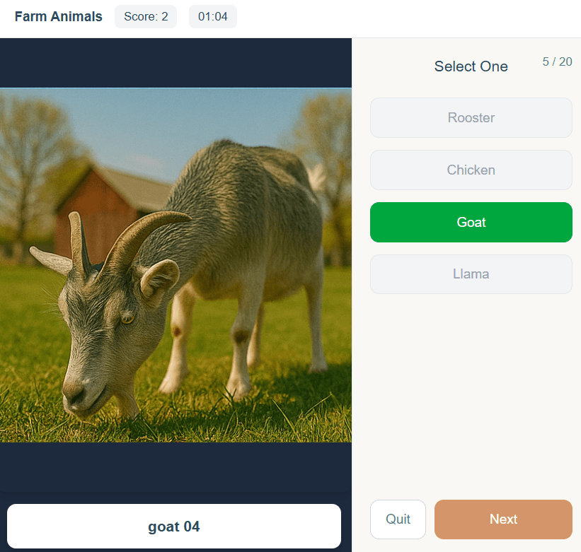 Farm Animals